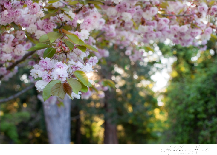 HeatherHurtPhotography.Antolick_Spring2019-8.jpg